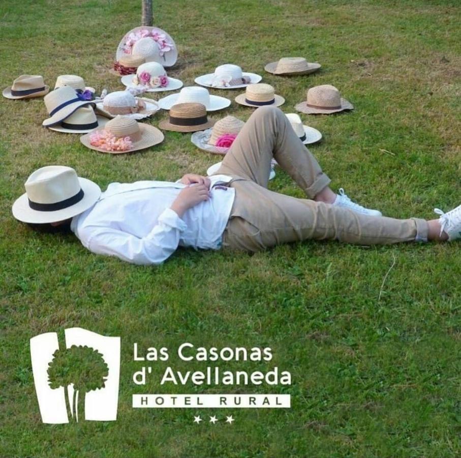 Las Casonas De Avellaneda 纳维亚 外观 照片